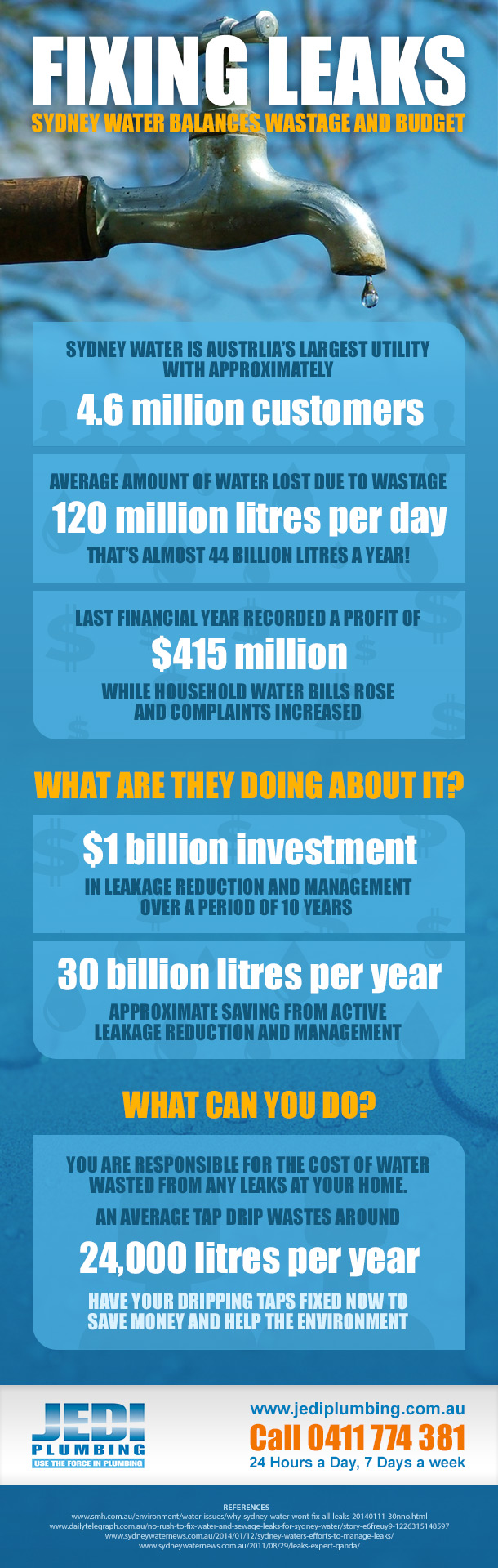 Sydney Water Wastage and Budget Infographic